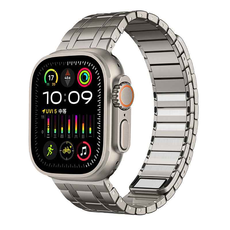 Lisa - Frosted RVS Magnetische Luxe Band